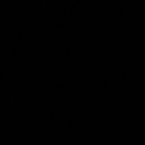 Meet your Posher, Genesis